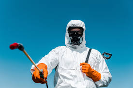 Real Estate Pest Inspections in Arroyo Grande, CA